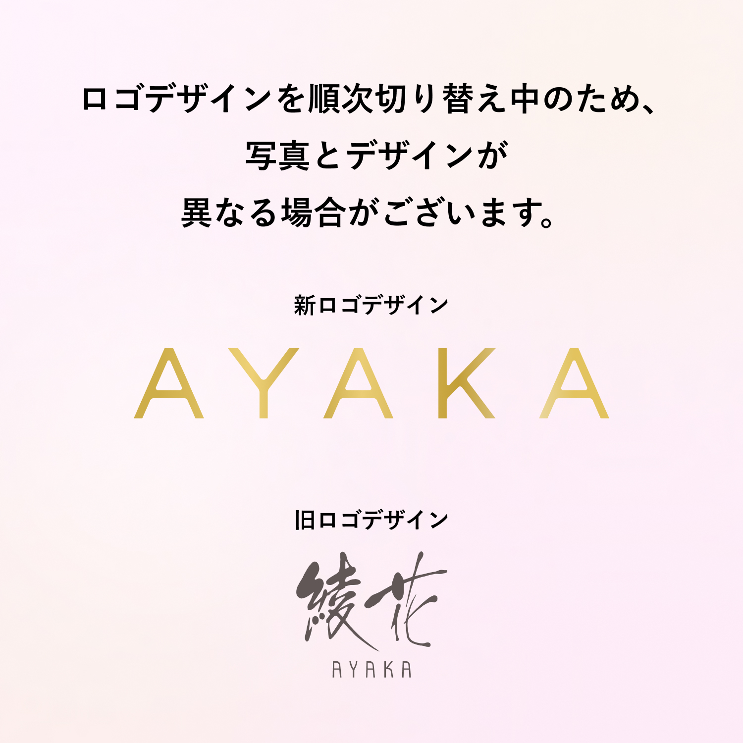 33 オークル系(標準色)