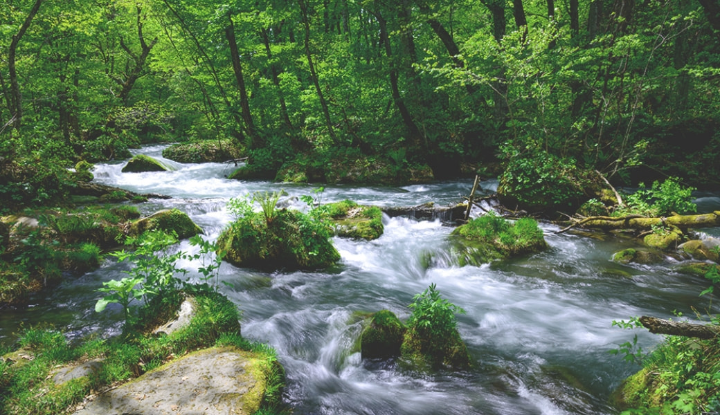 肌を越え、心の奥深くまで満たすものづくり