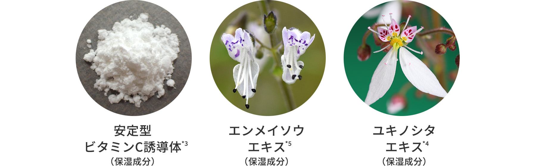 3つの保湿成分