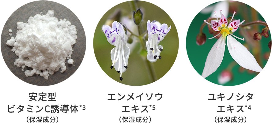 3つの保湿成分