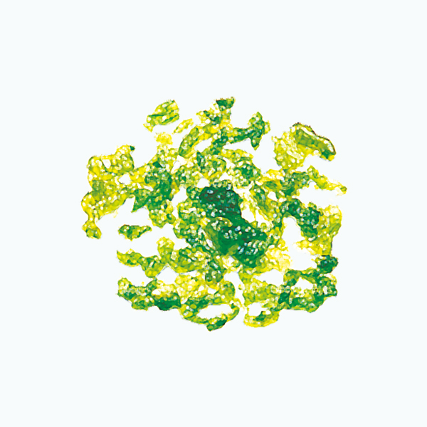 スイゼンジノリ多糖体